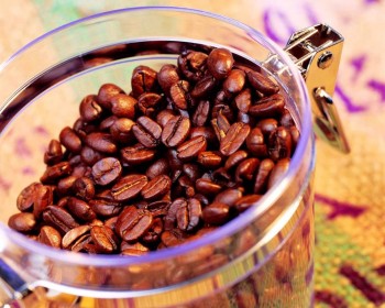 咖啡豆的營養與成份  女性健康食療
