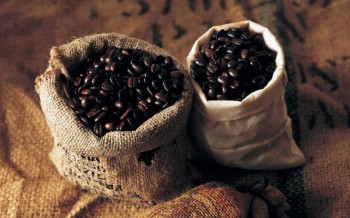 咖啡豆-Arabica阿拉比卡
