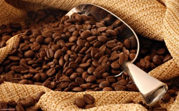 咖啡的起源-衣索匹亞牧羊人物語