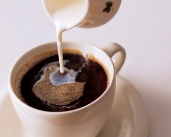 咖啡奶精透視你和情人的瞭解程度
