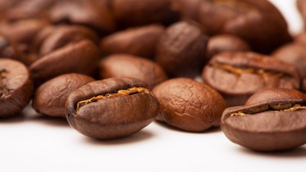 coffee-咖啡豆 - 黃金羅布斯塔