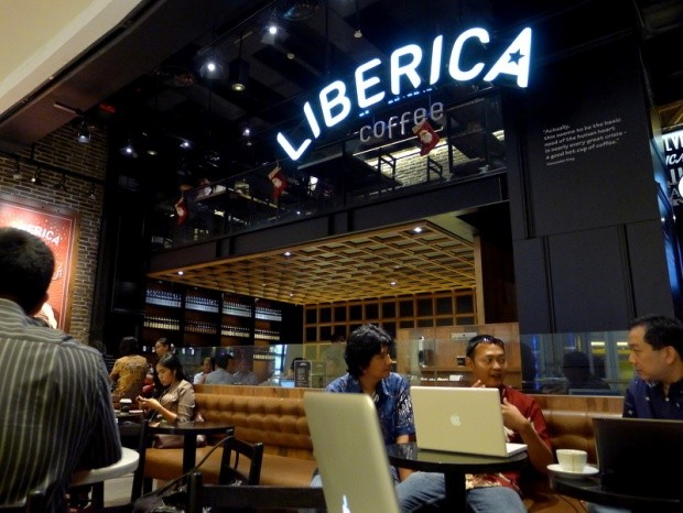 Liberica coffee 1
