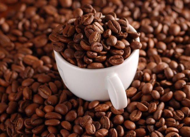 咖啡豆－羅布斯塔