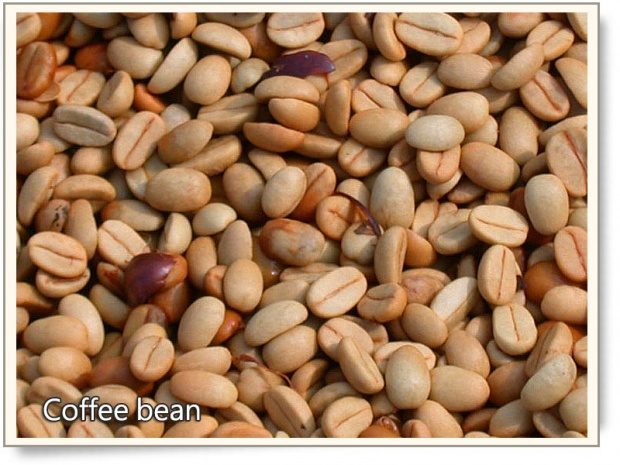 Coffee beans Gukeng 1